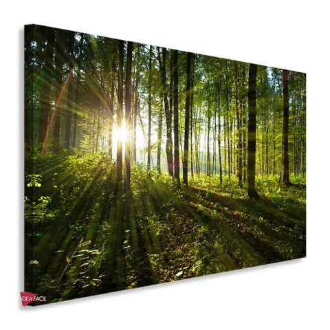 Bosque Horizontal Bqh9