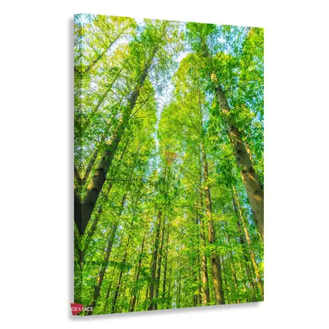 Bosque Vertical Bqv1