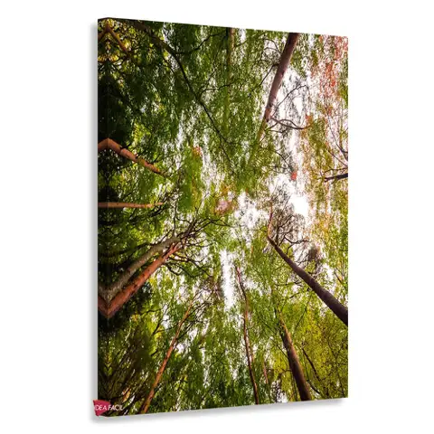 Bosque Vertical Bqv12