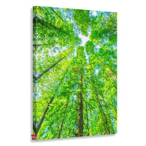 Bosque Vertical Bqv3