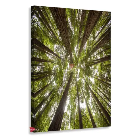 Bosque Vertical Bqv7