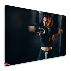 Box Horizontal Bxh12