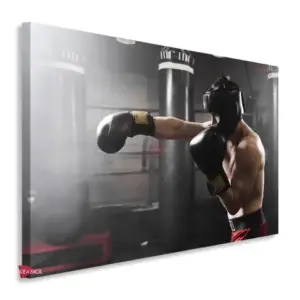 Box Horizontal Bxh17