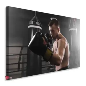 Box Horizontal Bxh7