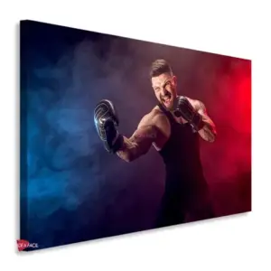 Box Horizontal Bxh8