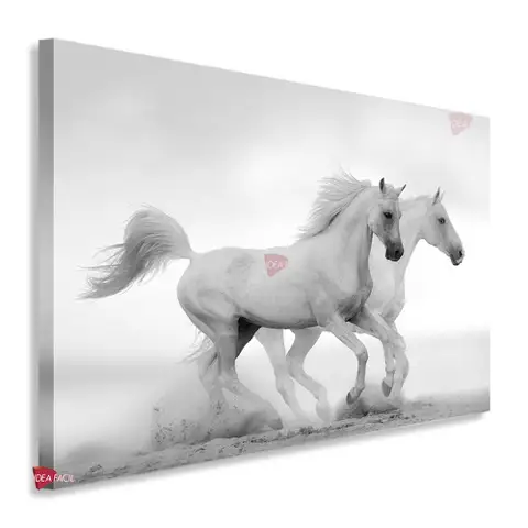 Caballos Horizontal Cbh18