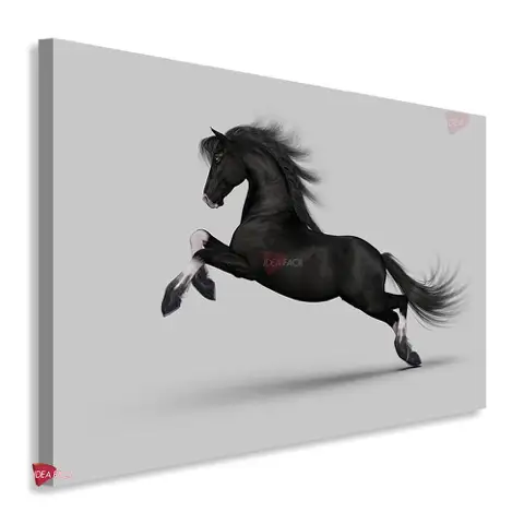 Caballos Horizontal Cbh28