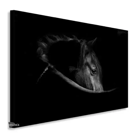 Caballos Horizontal Cbh31