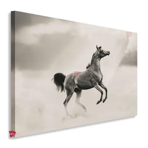 Caballos Horizontal Cbh35