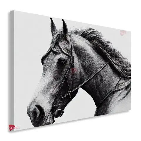 Caballos Horizontal Cbh36