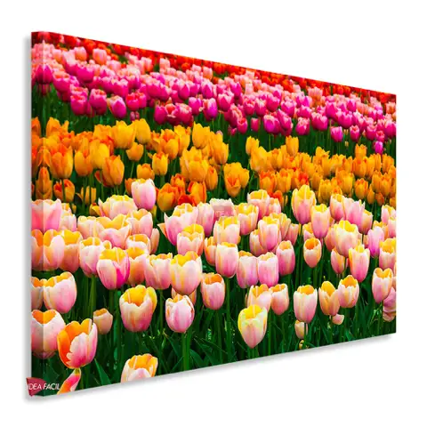 Campo Floral Horizontal Cph11