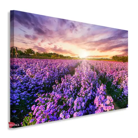 Campo Floral Horizontal Cph13