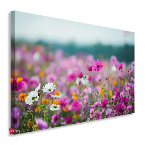 Campo Floral Horizontal Cph15