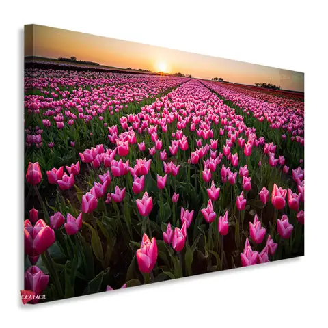 Campo Floral Horizontal Cph19