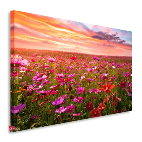 Campo Floral Horizontal Cph21