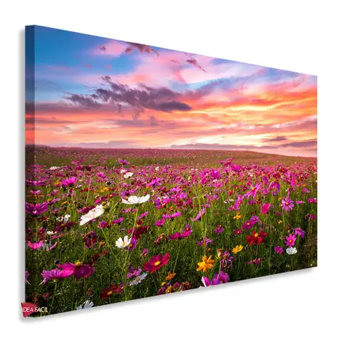 Campo Floral Horizontal Cph22