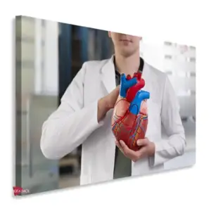 Cardiología Horizontal Cdh6