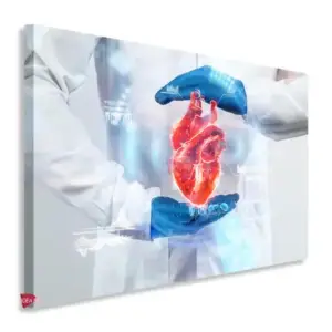Cardiología Horizontal Cdh8