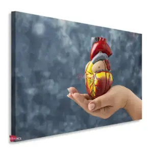 Cardiología Horizontal Cdh9