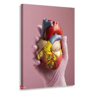 Cardiología Vertical Cdv3