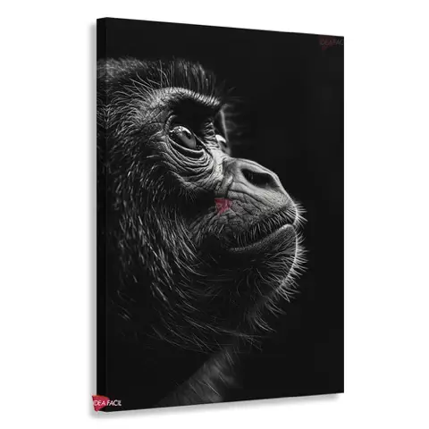 Changos Vertical Chv14
