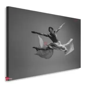 Danza Horizontal Dzh17