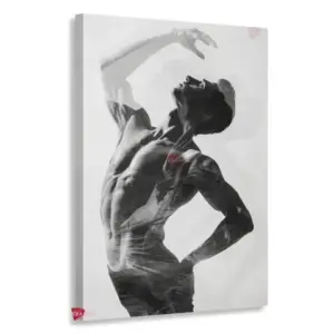 Danza Vertical Dzv5