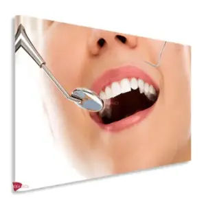 Dentista Horizontal Dnh1