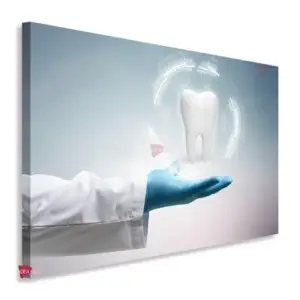 Dentista Horizontal Dnh10