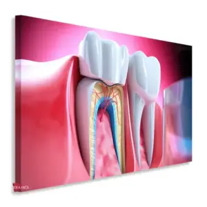 Dentista Horizontal Dnh12