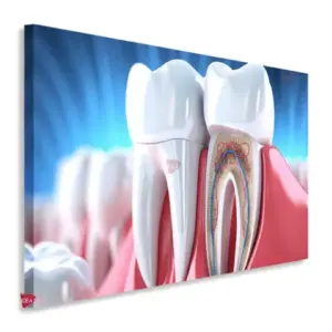 Dentista Horizontal Dnh13