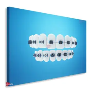 Dentista Horizontal Dnh14