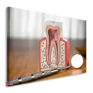 Dentista Horizontal Dnh17
