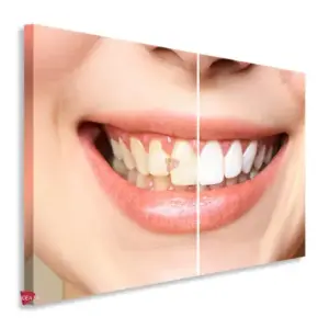 Dentista Horizontal Dnh2
