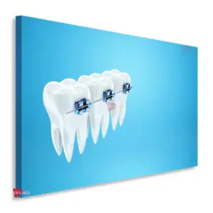 Dentista Horizontal Dnh21