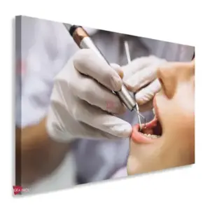 Dentista Horizontal Dnh22