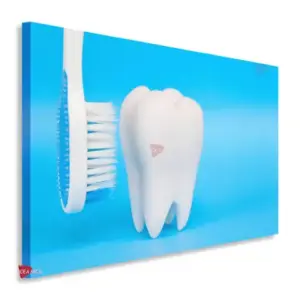Dentista Horizontal Dnh5