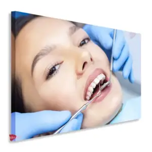 Dentista Horizontal Dnh7