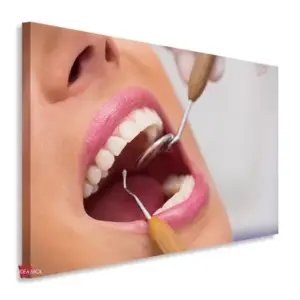 Dentista Horizontal Dnh8