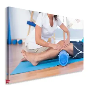 Fisioterapia Horizontal Fsh10