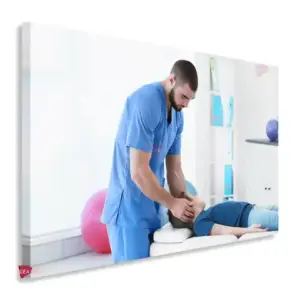 Fisioterapia Horizontal Fsh12