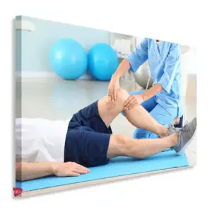 Fisioterapia Horizontal Fsh13