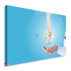 Fisioterapia Horizontal Fsh14