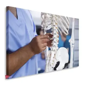 Fisioterapia Horizontal Fsh2