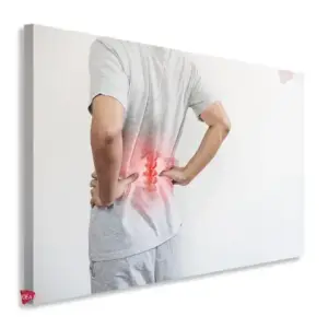 Fisioterapia Horizontal Fsh5