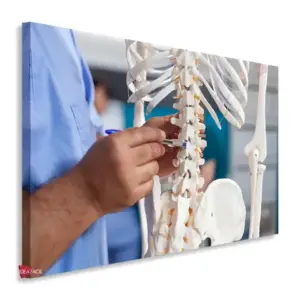 Fisioterapia Horizontal Fsh6