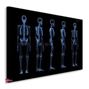 Fisioterapia Horizontal Fsh7