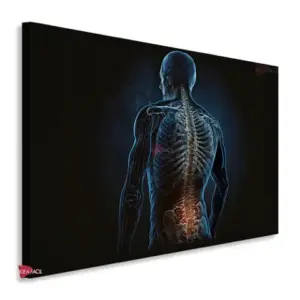 Fisioterapia Horizontal Fsh9