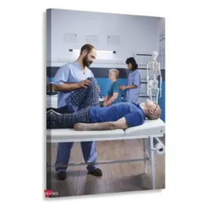 Fisioterapia Vertical Fsv1