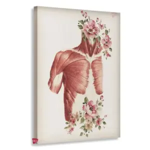 Fisioterapia Vertical Fsv3